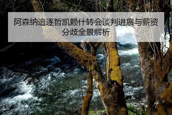 阿森纳追逐哲凯赖什转会谈判进展与薪资分歧全景解析